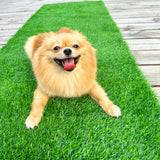 High Density Premium Artificial Grass Turf Mat 20mm/30mm Pile Height Grass Rug Natural and Realistic Looking Fake Grass for Indoor Outdoor Garden Lawn Landscape Pet Dog Area